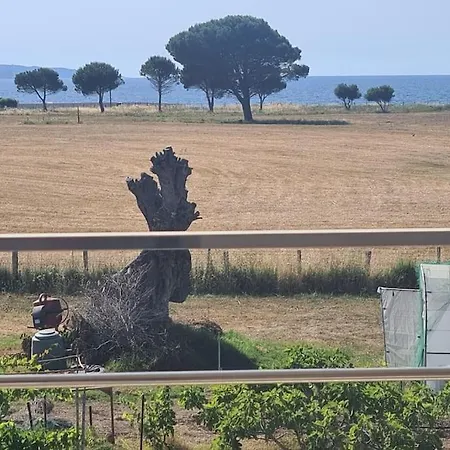 Joli Face A La Mer- St Florent Saint-Florent (Corsica)